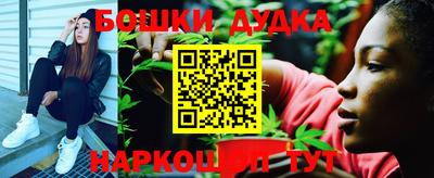 крисы Будённовск